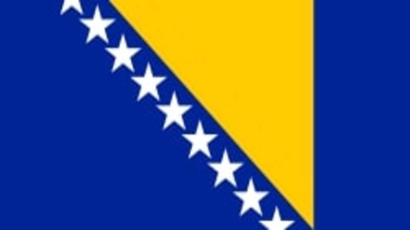 Босния и Герцеговина: помощь украинцам. Боснія і Герцеговина: допомога українцям