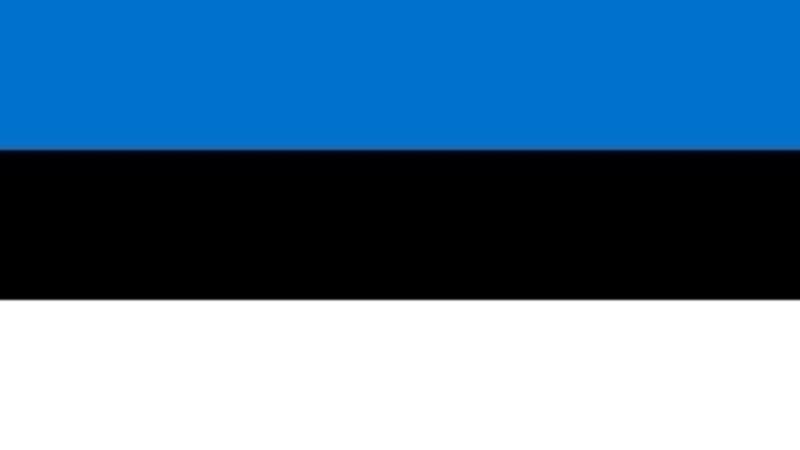 Estonia: asistencia a los ucranianos